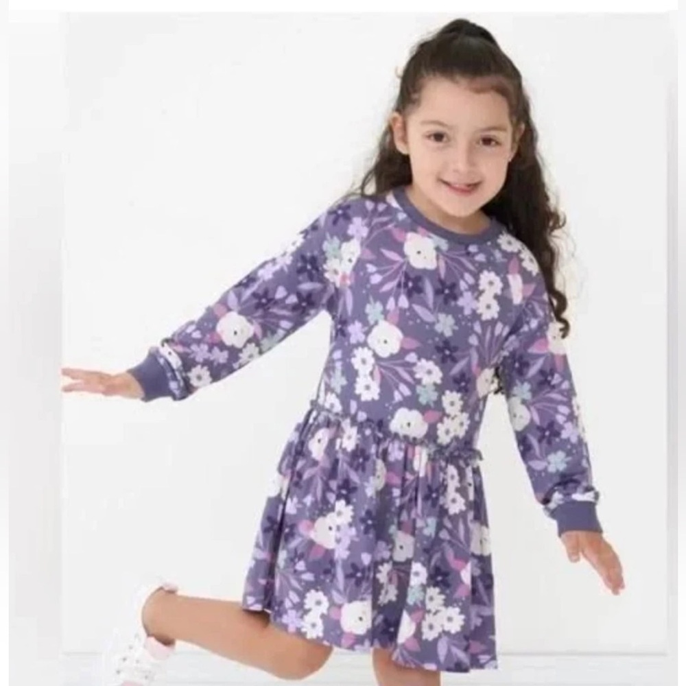 Little Sleepies Sugar Plum Floral Long Sleeve Drop Waist Dress 2T